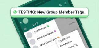 WhatsApp Tests New Group Member Tags Feature