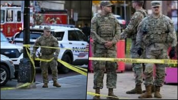 white house shooting