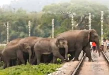 Assam Rajdhani Express Hits Elephant