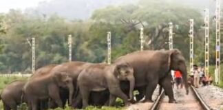 Assam Rajdhani Express Hits Elephant