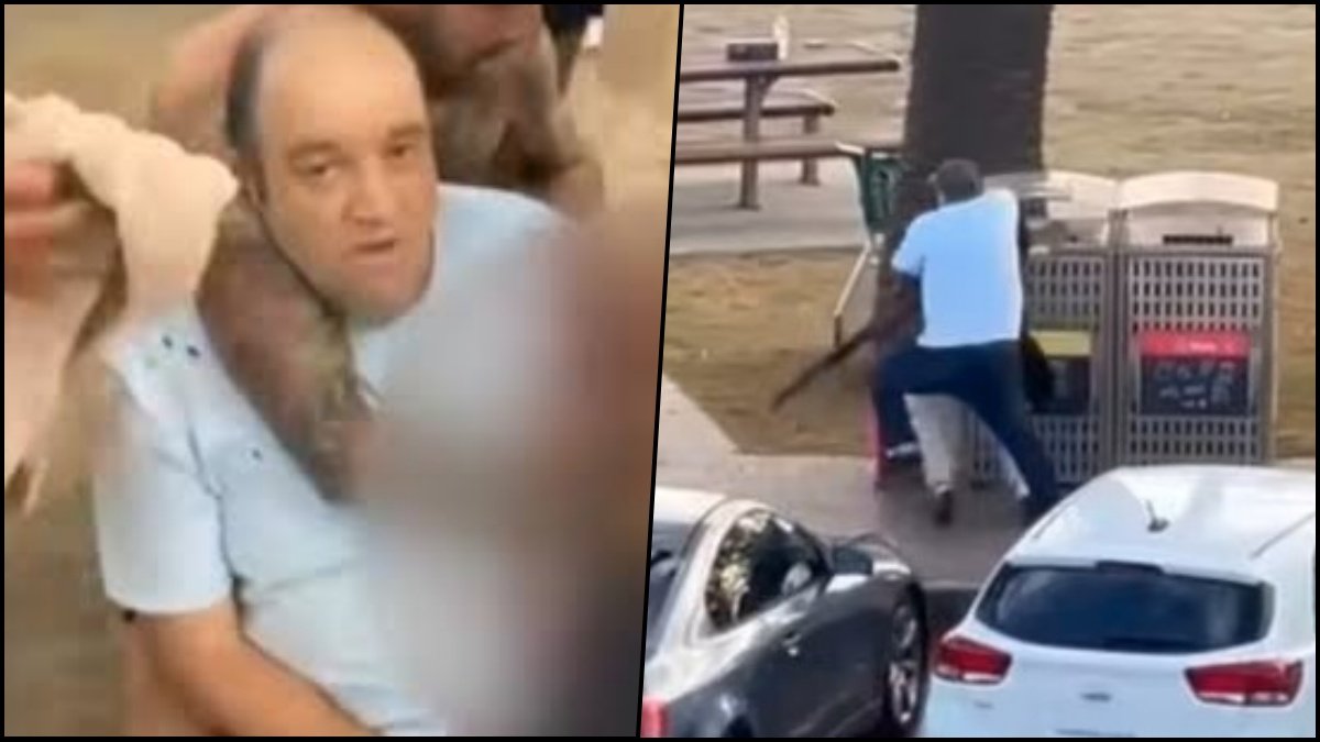 Sydney Hero: Fruit Vendor Ahmed al Ahmed Wrestles Gunman, Saves Lives at Bondi Beach