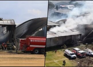 Mexico Plane Crash Horror