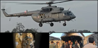 India’s First Aerial Tiger Translocation: Pench Tigress Flies 800km to Rajasthan Tiger lifting