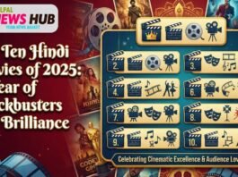 Top Ten Hindi Movies of 2025
