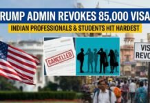 Trump Administration Revokes 85,000 Visas, Indian Professionals and Students Hit Hardest Trump Administration Revokes 85,000 Visas
