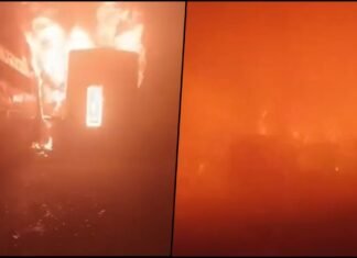 Yamuna Expressway Horror: 7 Buses, 3 Cars Collide in Deadly Fog Pile-up, 4 Killed Yamuna Expressway Horror