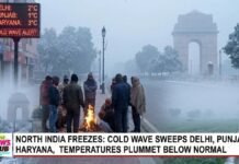 North India Freezes: Cold Wave Sweeps Delhi, Punjab, Haryana, Temperatures Plummet Below Normal weather
