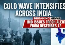 Cold Wave Intensifies Across India, IMD Issues Fresh Alert From December 12 weather today