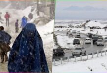 Afghanistan Faces Deadly Winter Storm, 11 Killed as Snowfall Blocks Roads and Cuts Off Towns Afghanistan Faces Deadly Winter Storm