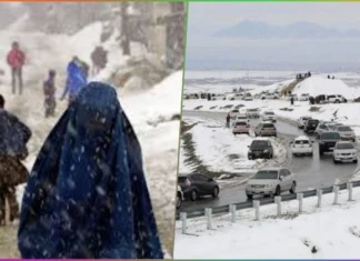 Afghanistan Faces Deadly Winter Storm, 11 Killed as Snowfall Blocks Roads and Cuts Off Towns Afghanistan Faces Deadly Winter Storm