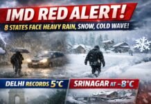 IMD Red Alert: 8 States Face Heavy Rain, Snow, Cold Wave; Delhi Records 5°C, Srinagar at -8°C IMD Red Alert