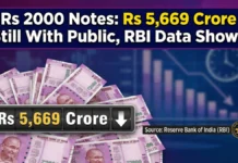 Pink Note Return Slows