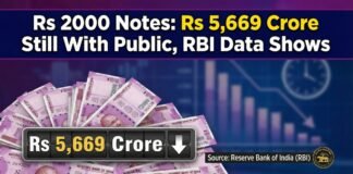 Pink Note Return Slows