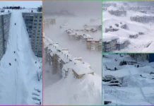 Russia in Deep Freeze, Kamchatka Buried Under Record Snow in 60 Years Russia in Deep Freeze