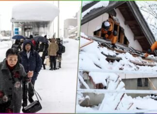 Japan Snow Crisis