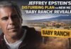 Jeffrey Epstein’s Disturbing