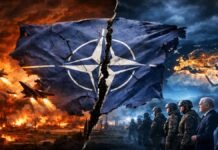 NATO Unity Fractures