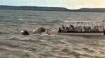Cruise Boat Sinks in Bargi Dam