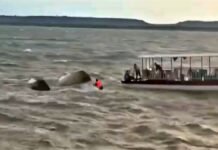 Cruise Boat Sinks in Bargi Dam