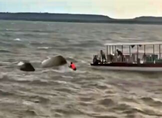 Cruise Boat Sinks in Bargi Dam