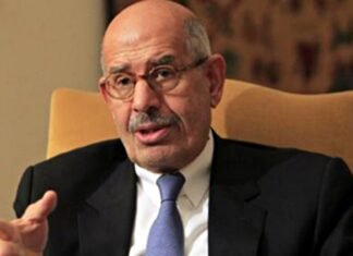 IAEA Chief ElBaradei