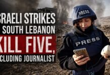 Israeli Strikes in South Lebanon