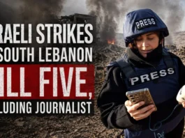 Israeli Strikes in South Lebanon