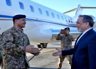 Pakistan Army Chief in Tehran