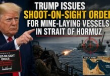 Trump Issues Shoot-on-Sight Order