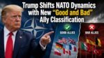 Trump Shifts NATO Dynamics