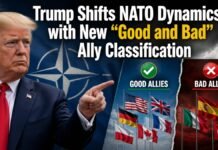 Trump Shifts NATO Dynamics