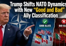 Trump Shifts NATO Dynamics
