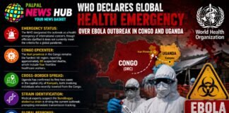 Global Health Emergency Over Ebola