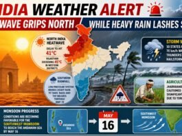 Heatwave Grips North