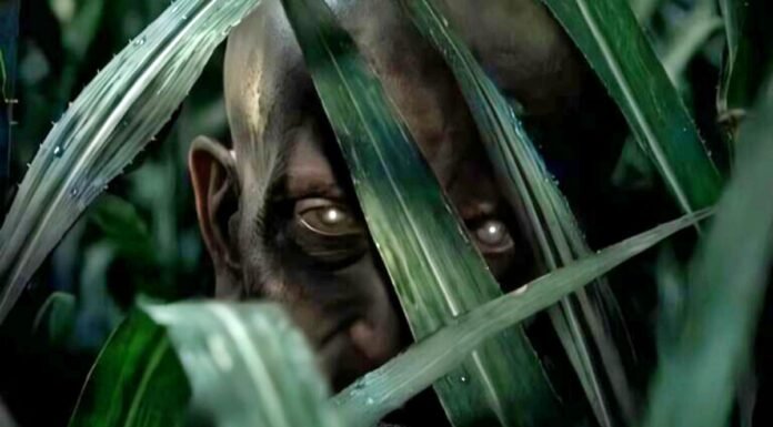 Horror Film Kheti