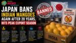Japan Bans Indian Mangoes