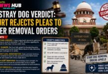 SC Stray Dog Verdict