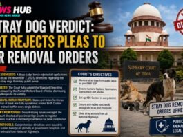 SC Stray Dog Verdict