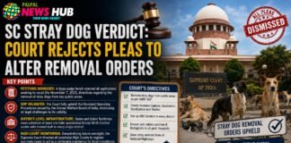 SC Stray Dog Verdict