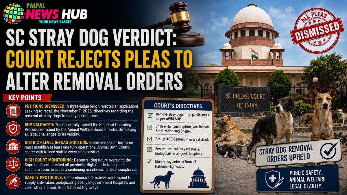 SC Stray Dog Verdict | PalPal News Hub | Latest National, Technology, and Astrology News SC Stray Dog Verdict