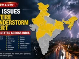 Severe Thunderstorm Alert