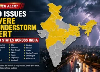 Severe Thunderstorm Alert