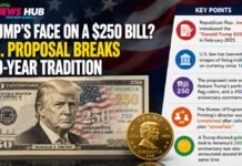 Trump's Face on a $250 Bill